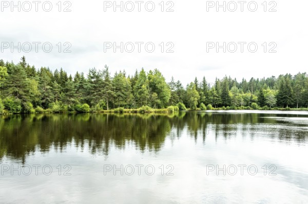 A peaceful lakeside scene showcases vibrant green trees surrounding a serene body of water. Puy de
