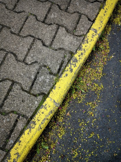 A detailed view of a worn yellow-painted curb next to a cobblestone path, surrounded by scattered