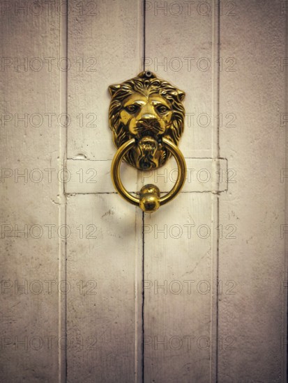 A striking golden lion door knocker captures attention, proudly mounted on a weathered white wooden