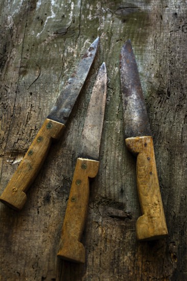 Vintage kitchen knives arranged on rustic wooden surface showcasing unique textures and worn