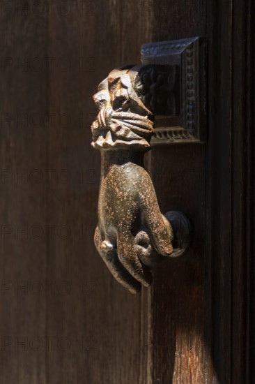A detailed bronze hand-shaped door knocker is affixed to a rustic wooden door, showcasing intricate