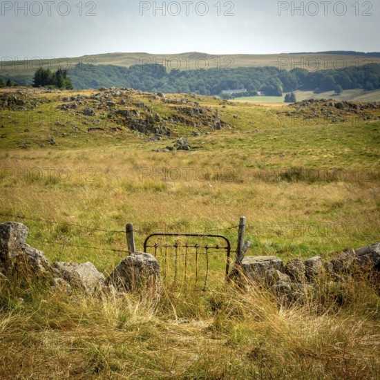 A rustic gate stands open, inviting visitors into a picturesque countryside landscape. Golden grass