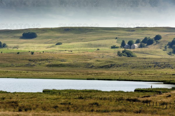 A tranquil view features a calm body of water bordered by lush green grass, rolling hills in the
