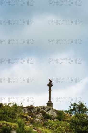 A stone cross towers over rocky ground, surrounded by greenery. Dark clouds loom overhead, creating