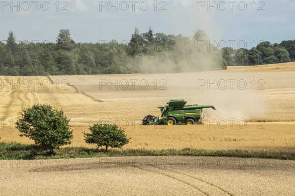 Landscape with threshing of grain with combine harvester at Ystad, Skåne county, Sweden,