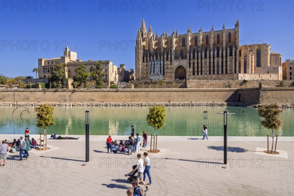 Tourists in a public park by the palma cathedral a sunny summer day, Parc de la mar, Palma de