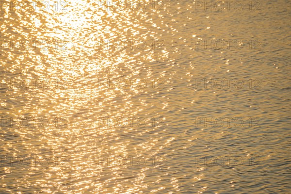 Golden sunlight is reflected by the water surface of the North Sea, natural glow, glow, highlights
