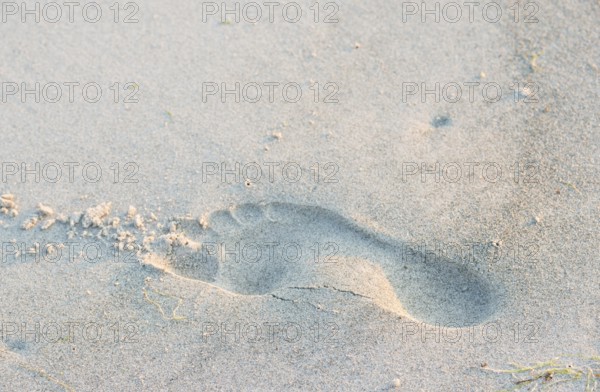 A single footprint in the sand on the beach, quiet atmosphere, warm light in the evening, human