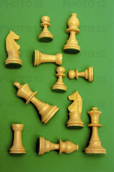 A group of fine wooden chess pieces is displayed, showcasing the knight, pawn, rook, bishop, queen,