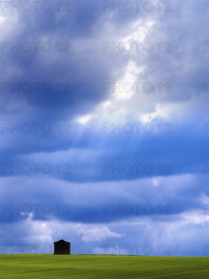 Nestled in a vibrant green field, a solitary hut stands against a backdrop of dynamic clouds,
