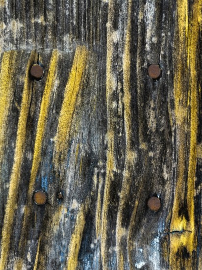 Detailed close-up shows an aged wooden surface featuring unique yellow streaks and rusty nails. The