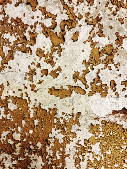 The surface displays an intricate pattern of peeling paint in warm earthy tones, showcasing signs