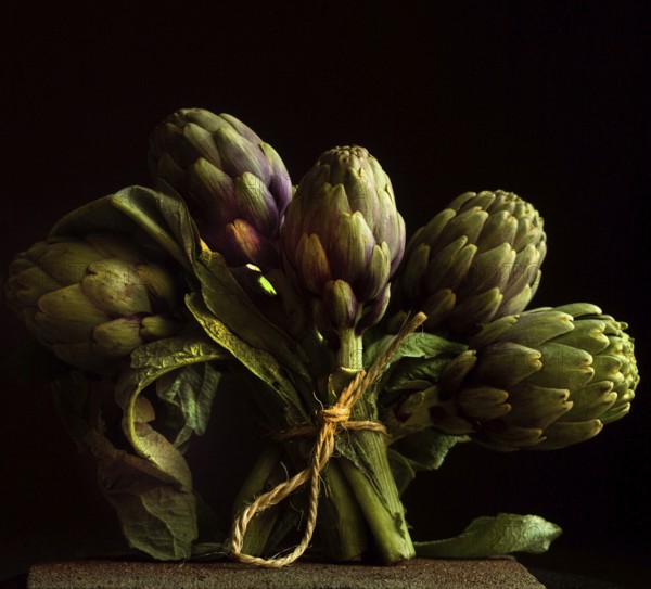 Five artichokes are artistically bundled with twine, resting against a black backdrop that