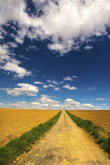 Winding dirt path extends through golden fields in Puy de Dome, against vibrant blue sky with puffy