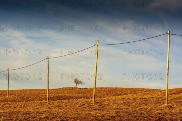 A row of wooden electric poles stretches across the golden hills of the Regional Nature Park of