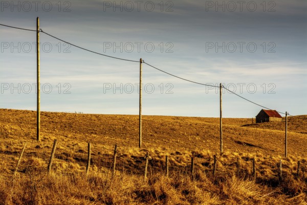 A tranquil view features a row of wooden electric poles stretching across the golden fields of