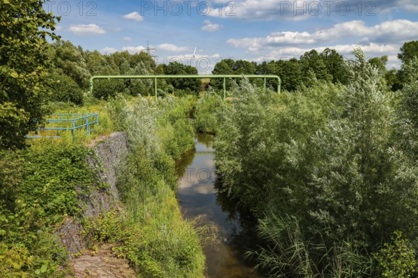 Bottrop, North Rhine-Westphalia, Germany - Renaturalised Boye, the tributary of the Emscher, has