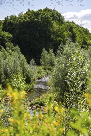 Bottrop, North Rhine-Westphalia, Germany - Renaturalised Boye, the tributary of the Emscher, was