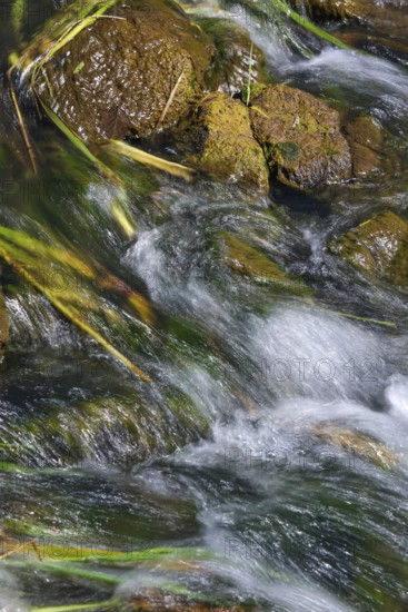Bottrop, North Rhine-Westphalia, Germany - Renaturalised Boye, the tributary of the Emscher, has