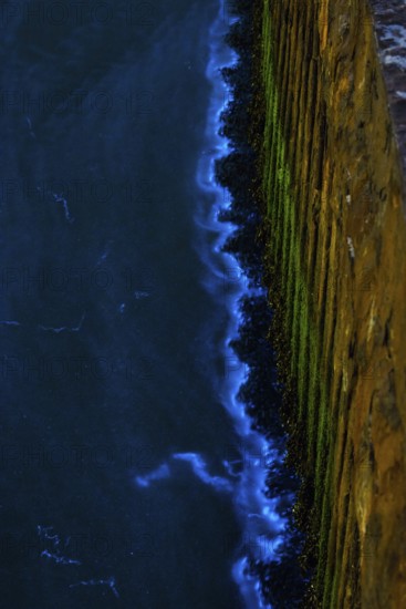 Sea glow, blue glowing waves on sheet pile wall at night, caused by microorganisms, marine