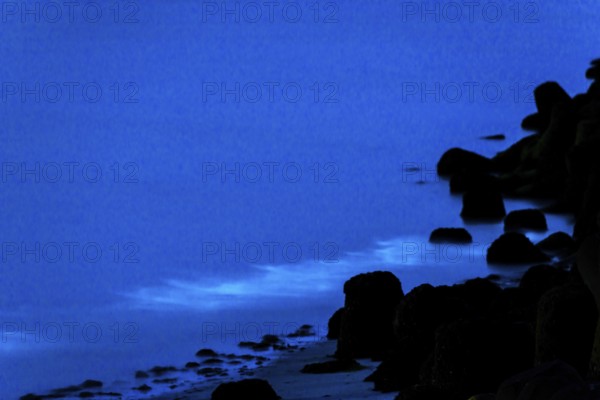 Sea glow, caused by microorganisms, marine luminescent organisms (Noctiluca scintillans, Noctiluca