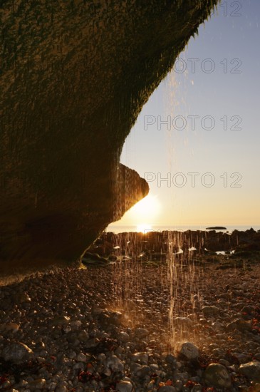 Waterfall on the cliffs backlit at sunset, Etretat, Alabaster Coast, Seine-Maritime, Upper
