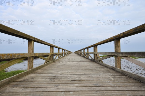 Wooden walkway in the Wadden Sea, Wadden Sea National Park, North Frisia, Schleswig-Holstein,