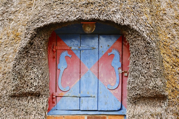 Thatched roof and window with shutters, St. Peter-Ording, Eiderstedt peninsula, North Frisia,