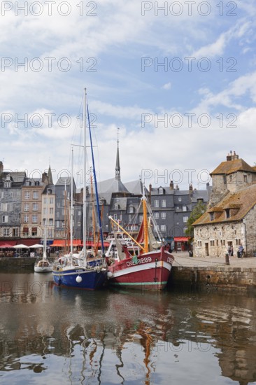 Sailing boat and fishing boat in the Vieux Bassin harbour basin, Honfleur, Cote Fleurie, Pays