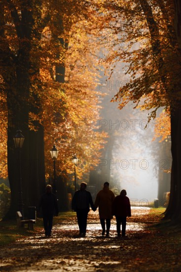 Walkers on an avenue with copper beeches (Fagus sylvatica) in the morning light, autumn, North