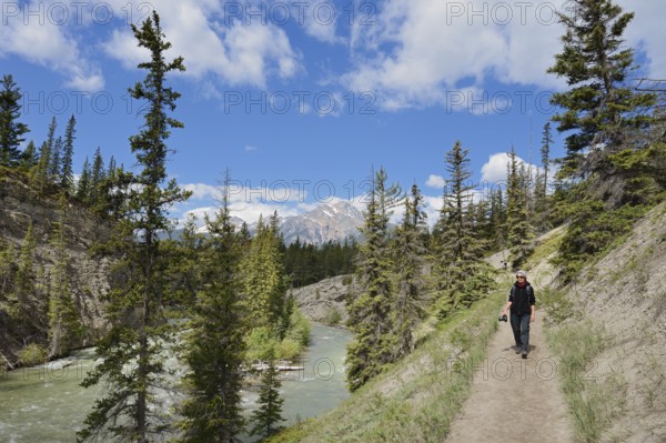 Hiking trail along the Maligne River, Maligne Canyon, Jasper National Park, Alberta, Canada