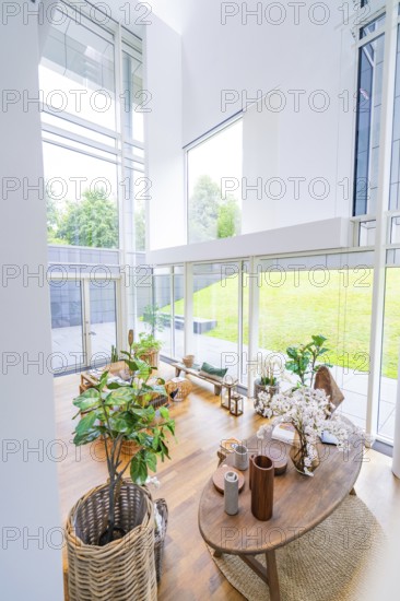 Bright room with plants and decorations, flooded with daylight through large windows, Frieder Burda