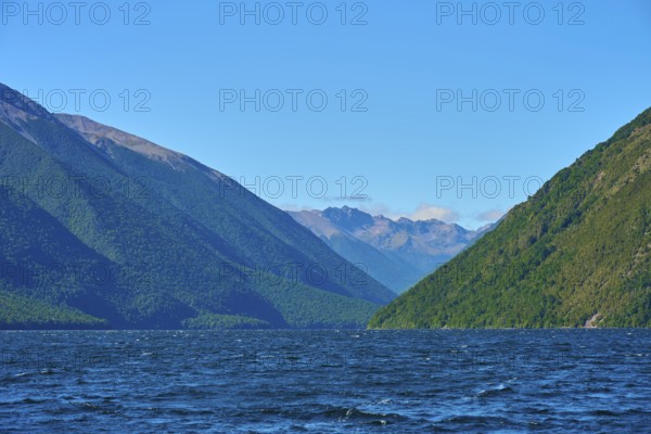 View over a lake between green mountains under a cloudless sky, summer, Lake Rotoiti, Saint Arnaud,