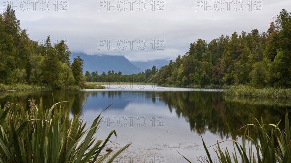 A long, winding lake surrounded by dense vegetation and mountains in the distance, summer, Lake