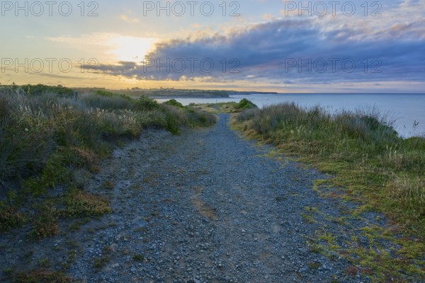 Pebble path along the coast at sunset, clouds and grass in the foreground, summer, Opunake,