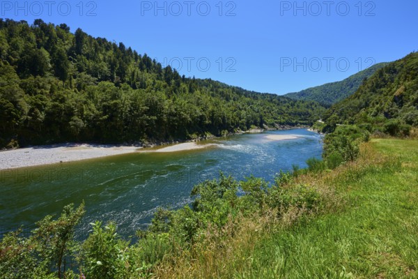 River course surrounded by dense vegetation and green forests in bright daylight, Kilkenny Lookout,