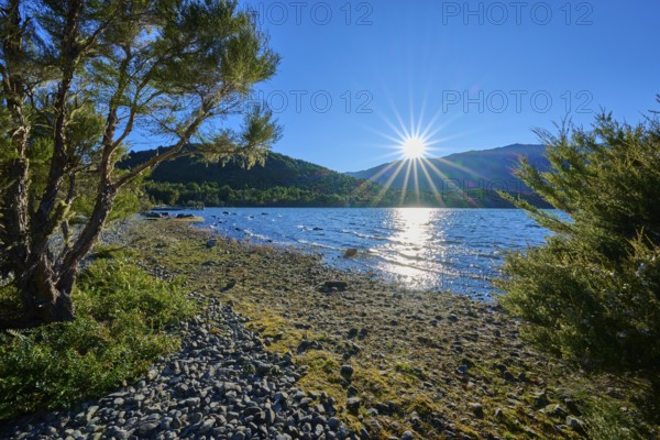 Sunbeams bathe the calm lake and the wooded shores in a warm light, summer, Lake Rotoiti, Saint