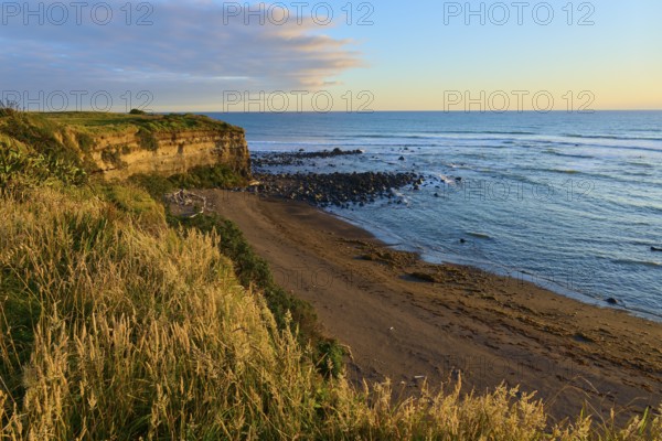 Steep coast with sandy beach in the evening, vegetation in the foreground, summer, Opunake,