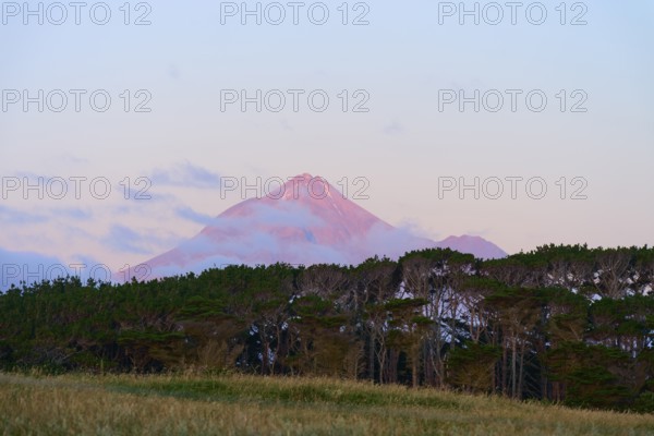 A volcano Mount Taranaki at dusk behind a row of trees with a slightly cloudy sky, summer, Opunake,