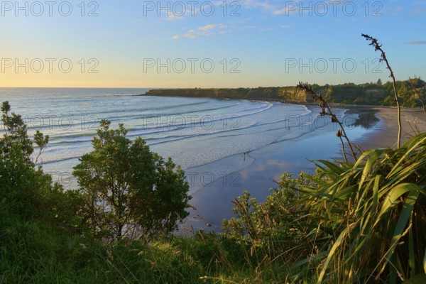 Malibu-like bay by the sea with gentle waves under a clear sky at sunset, summer, Opunake,