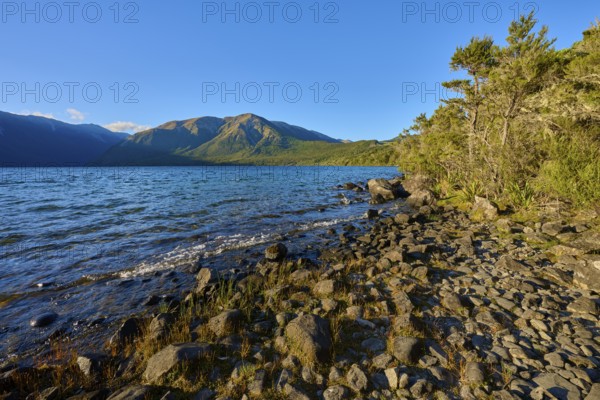 Pebble-covered shore with trees, the lake glistens under a clear sky with distant mountains,
