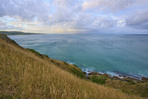 Calm seascape with grassy hill and wide horizon, summer, Nugget Point lighthouse, Ahuriri Flat,
