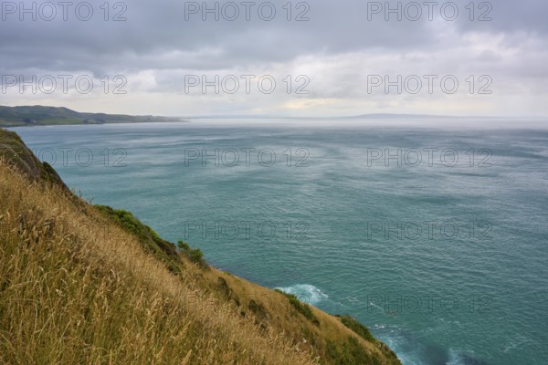 Wide sea view with grassy coast under cloudy sky, summer, Nugget Point lighthouse, Ahuriri Flat,