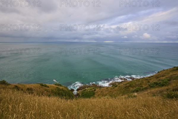 View of the open sea and the coast from grassy cliffs, summer, Nugget Point lighthouse, Ahuriri