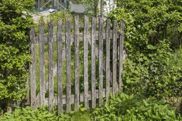 Old garden gate made of weathered wood, North Rhine-Westphalia, Germany