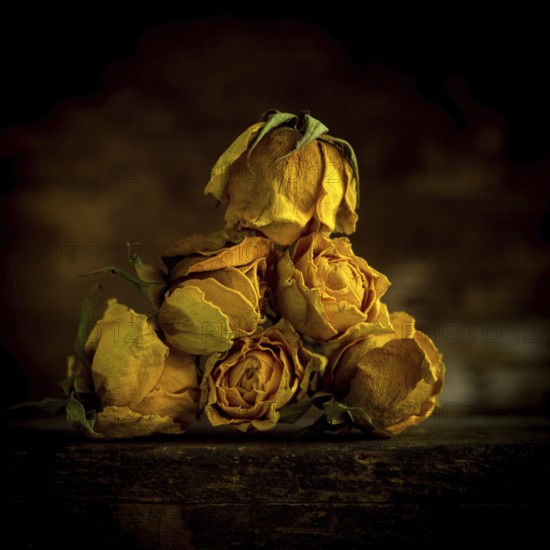A pyramid of dried yellow roses sits against a dark background, highlighting their unique texture