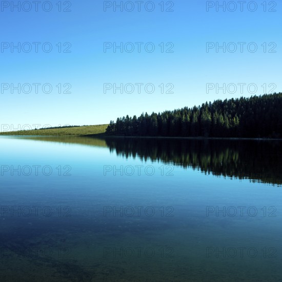 A tranquil lake mirrors the vibrant blue of the sky while a dense forest borders its edge. Lake