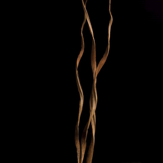 Beautiful floral decoration showcases twisted stems against a dark backdrop, enhancing the