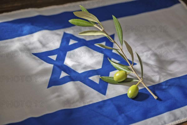 Olive branch placed on Israeli flag. Symbol of peace, diplomacy, and hope for resolution in Israel.