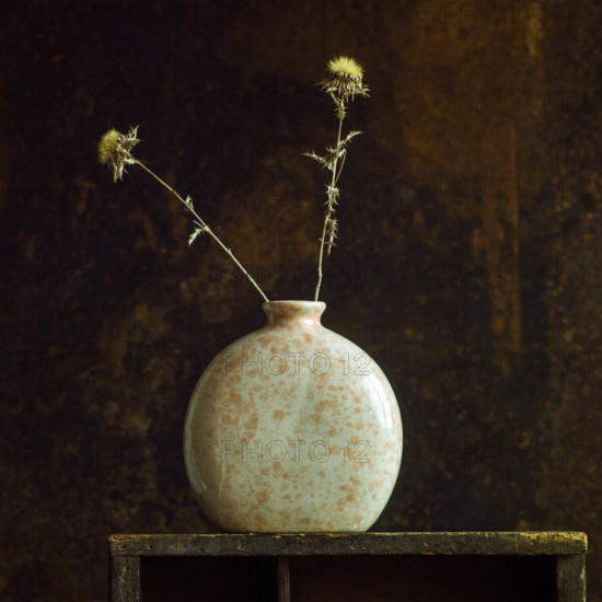 Dried thistles stand elegantly in a ceramic jar, showcasing natural beauty against a warm, textured